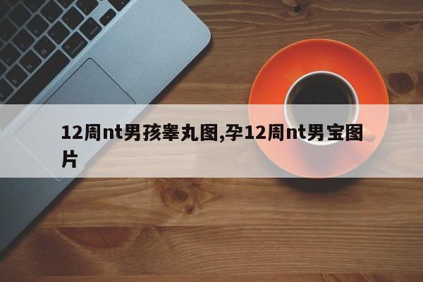 12周nt男孩睾丸图,孕12周nt男宝图片