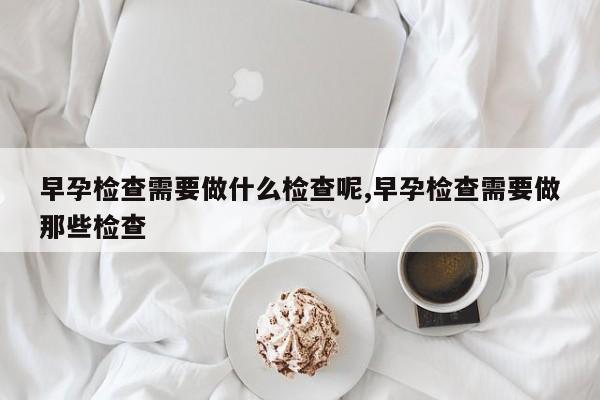 早孕检查需要做什么检查呢,早孕检查需要做那些检查