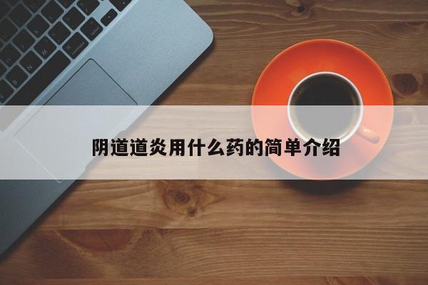 阴道道炎用什么药的简单介绍