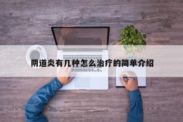 阴道炎有几种怎么治疗的简单介绍