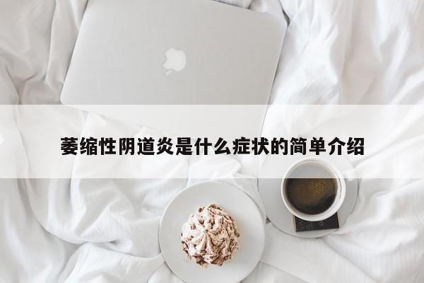 萎缩性阴道炎是什么症状的简单介绍