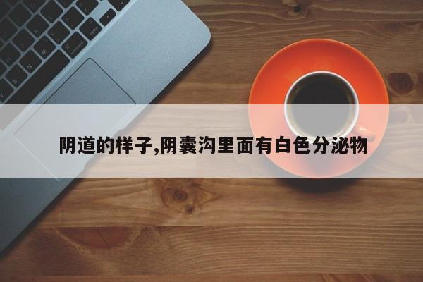 阴道的样子,阴囊沟里面有白色分泌物