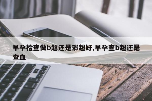 早孕检查做b超还是彩超好,早孕查b超还是查血
