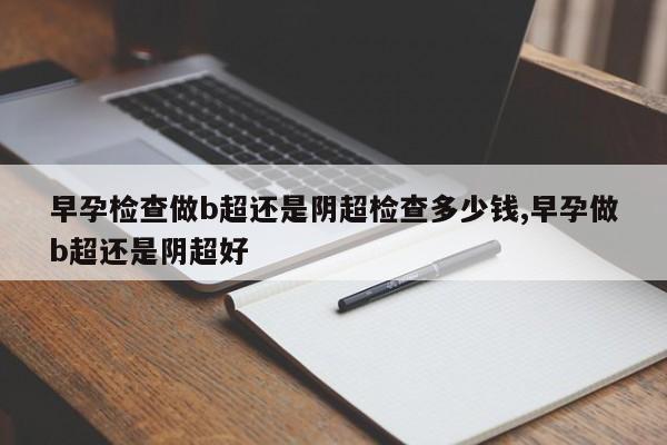 早孕检查做b超还是阴超检查多少钱,早孕做b超还是阴超好