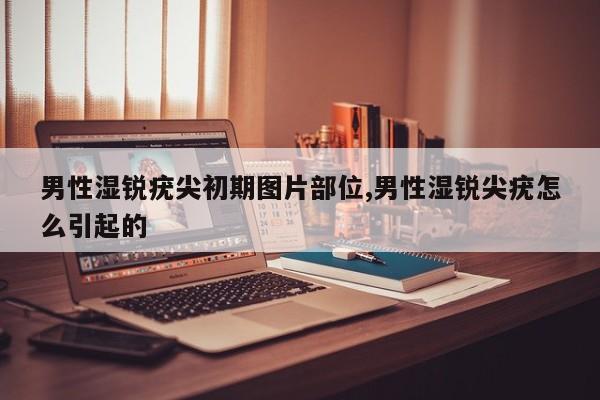 男性湿锐疣尖初期图片部位,男性湿锐尖疣怎么引起的