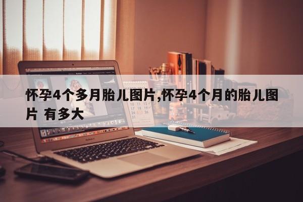 怀孕4个多月胎儿图片,怀孕4个月的胎儿图片 有多大