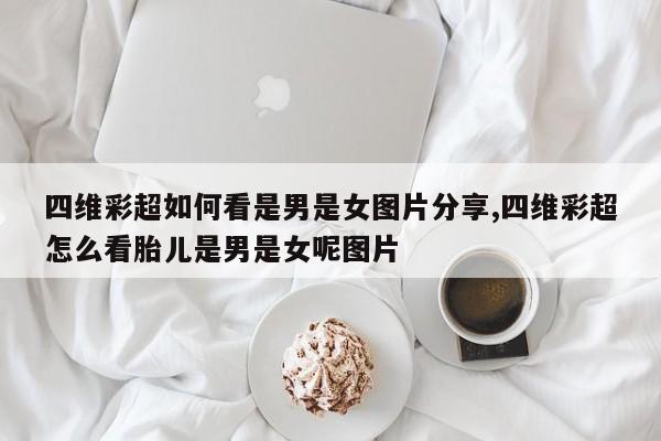 四维彩超如何看是男是女图片分享,四维彩超怎么看胎儿是男是女呢图片