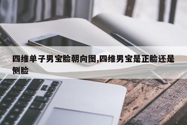 四维单子男宝脸朝向图,四维男宝是正脸还是侧脸